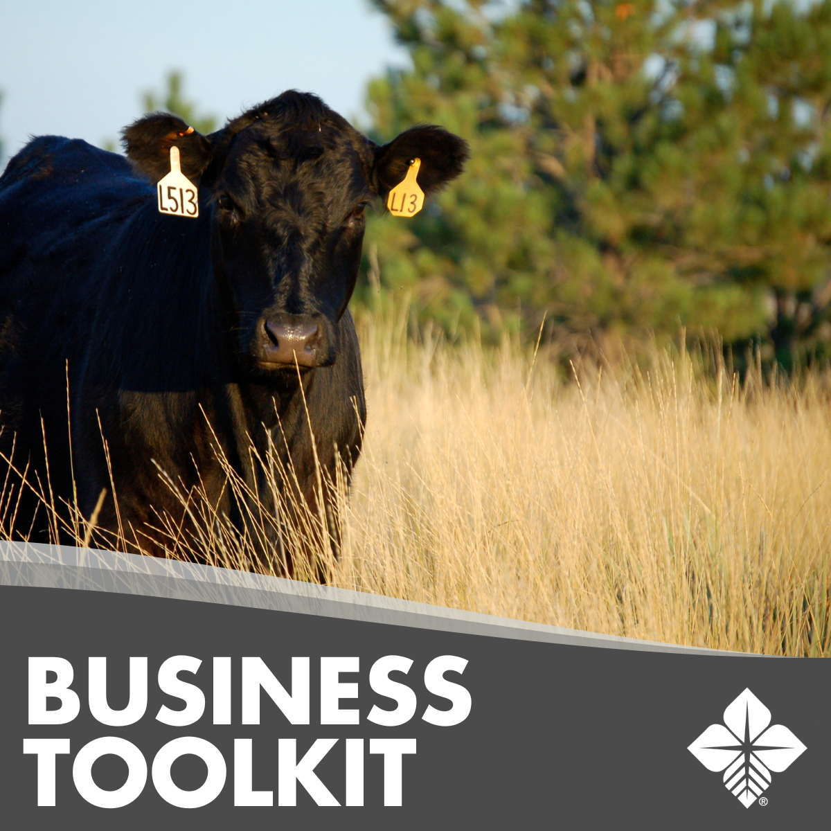 Member Portal Farm Credit of the Virginias